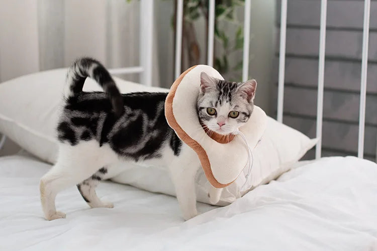 Soft Toast Avocado Shaped Cotton Pet Elizabethan Collar Dog Cat Adjustable Wound Healing Collar Prevent Bite Neck Ring For Pets