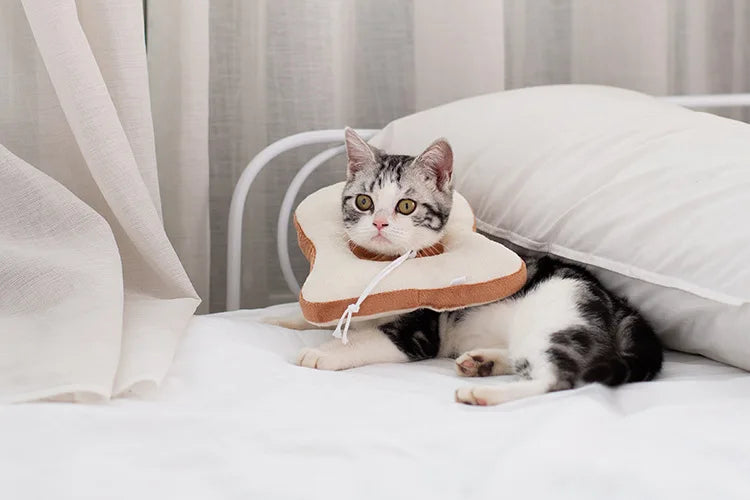 Soft Toast Avocado Shaped Cotton Pet Elizabethan Collar Dog Cat Adjustable Wound Healing Collar Prevent Bite Neck Ring For Pets