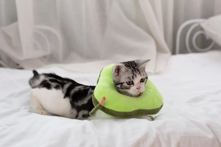 Soft Toast Avocado Shaped Cotton Pet Elizabethan Collar Dog Cat Adjustable Wound Healing Collar Prevent Bite Neck Ring For Pets