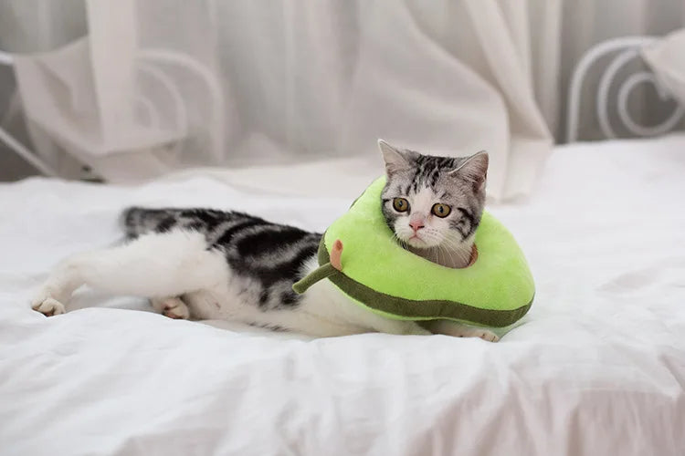 Soft Toast Avocado Shaped Cotton Pet Elizabethan Collar Dog Cat Adjustable Wound Healing Collar Prevent Bite Neck Ring For Pets