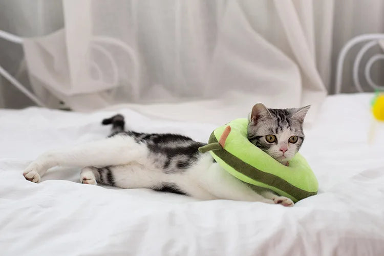 Soft Toast Avocado Shaped Cotton Pet Elizabethan Collar Dog Cat Adjustable Wound Healing Collar Prevent Bite Neck Ring For Pets