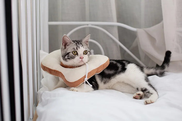 Soft Toast Avocado Shaped Cotton Pet Elizabethan Collar Dog Cat Adjustable Wound Healing Collar Prevent Bite Neck Ring For Pets