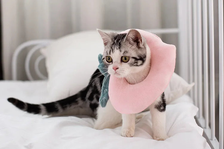 Soft Toast Avocado Shaped Cotton Pet Elizabethan Collar Dog Cat Adjustable Wound Healing Collar Prevent Bite Neck Ring For Pets