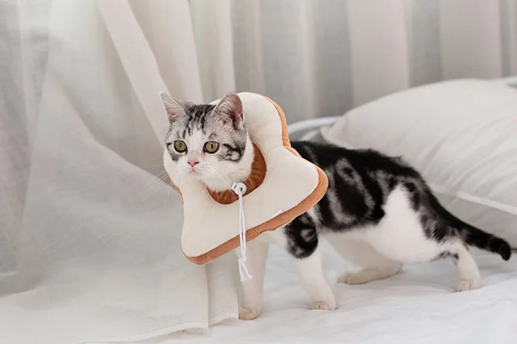 Soft Toast Avocado Shaped Cotton Pet Elizabethan Collar Dog Cat Adjustable Wound Healing Collar Prevent Bite Neck Ring For Pets