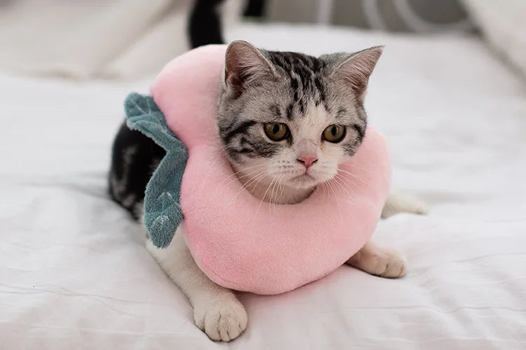 Soft Toast Avocado Shaped Cotton Pet Elizabethan Collar Dog Cat Adjustable Wound Healing Collar Prevent Bite Neck Ring For Pets