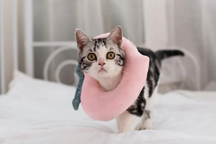 Soft Toast Avocado Shaped Cotton Pet Elizabethan Collar Dog Cat Adjustable Wound Healing Collar Prevent Bite Neck Ring For Pets