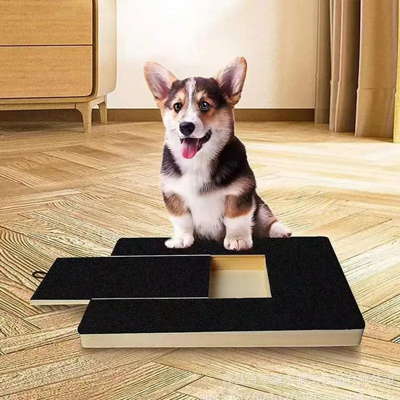 Dog Nail Scratch Board with Built-in Snack Box Dog Nail File Board Puppy Nail Grinding Pad Dog Paws Sandpaper Board Scratcher