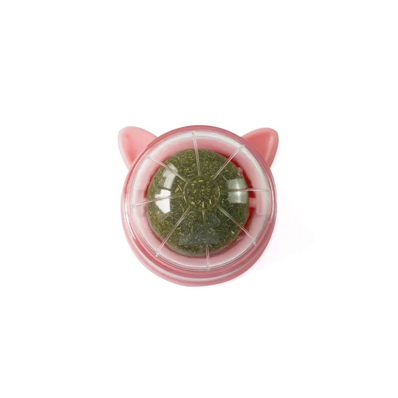 2024 New Catnip Ball Lickable Cat Grass Snack Catnip Ball Kitten Playing Chewing Cleaning Teeth Toy Cat pet supplies Scratchers